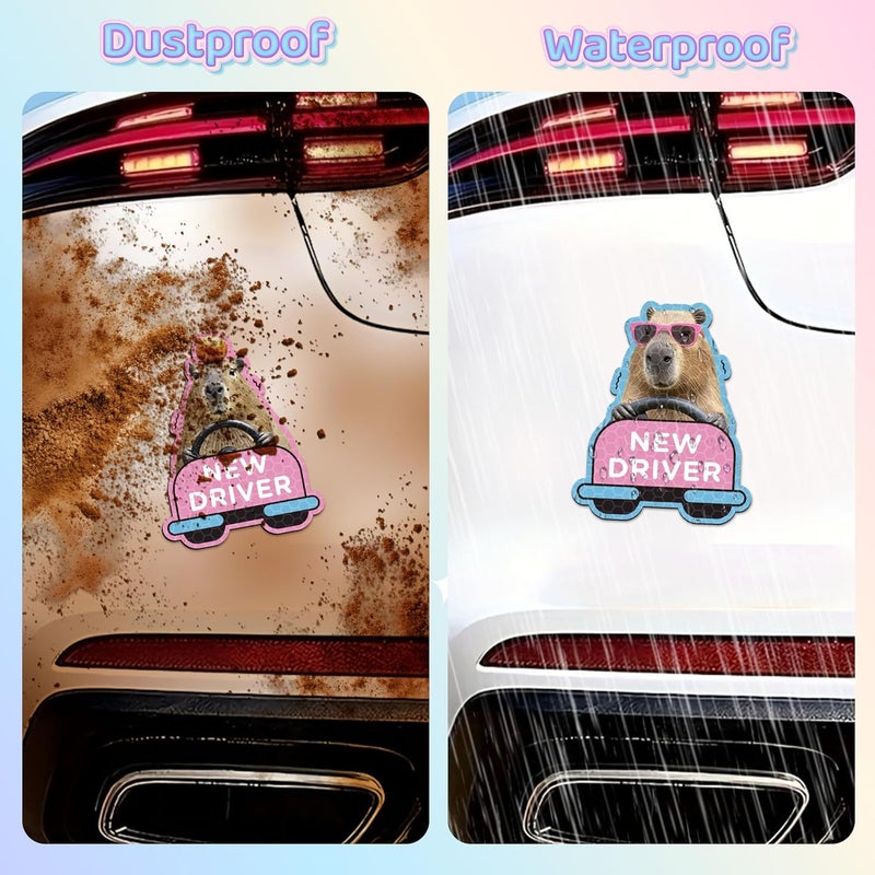 CNhoqc New Student Driver Magnet - 4pcs Cute Capybaras Please Be Patient Student Novice Driver Magnetic Reflective Bumper Sticker Safety Attention Signs Reusable Movable Car Magnet Safety Warning - Image 3